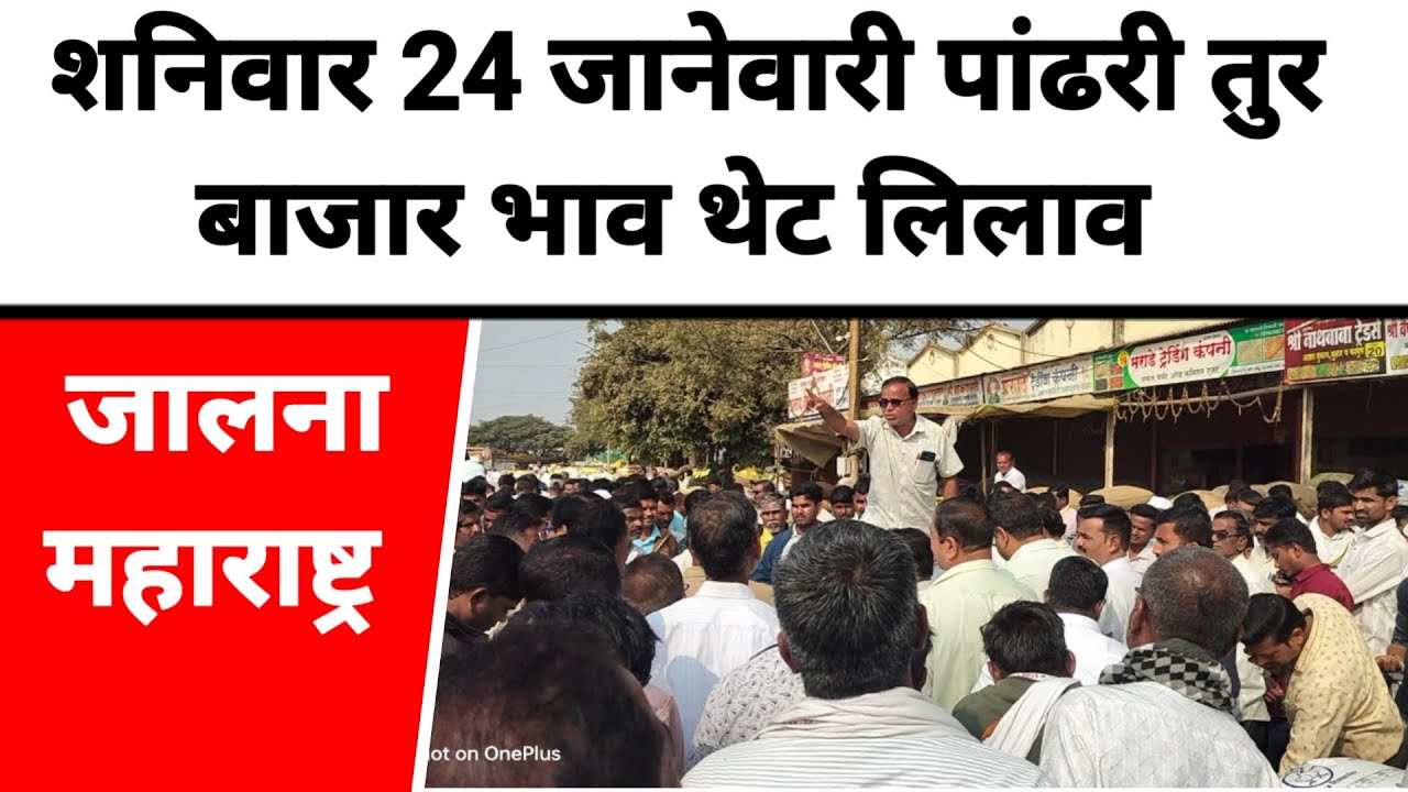 शनिवार 24 जानेवारी पांढरी तुर बाजार भाव थेट लिलाव जालना महाराष्ट्र || जालना बाजार भाव