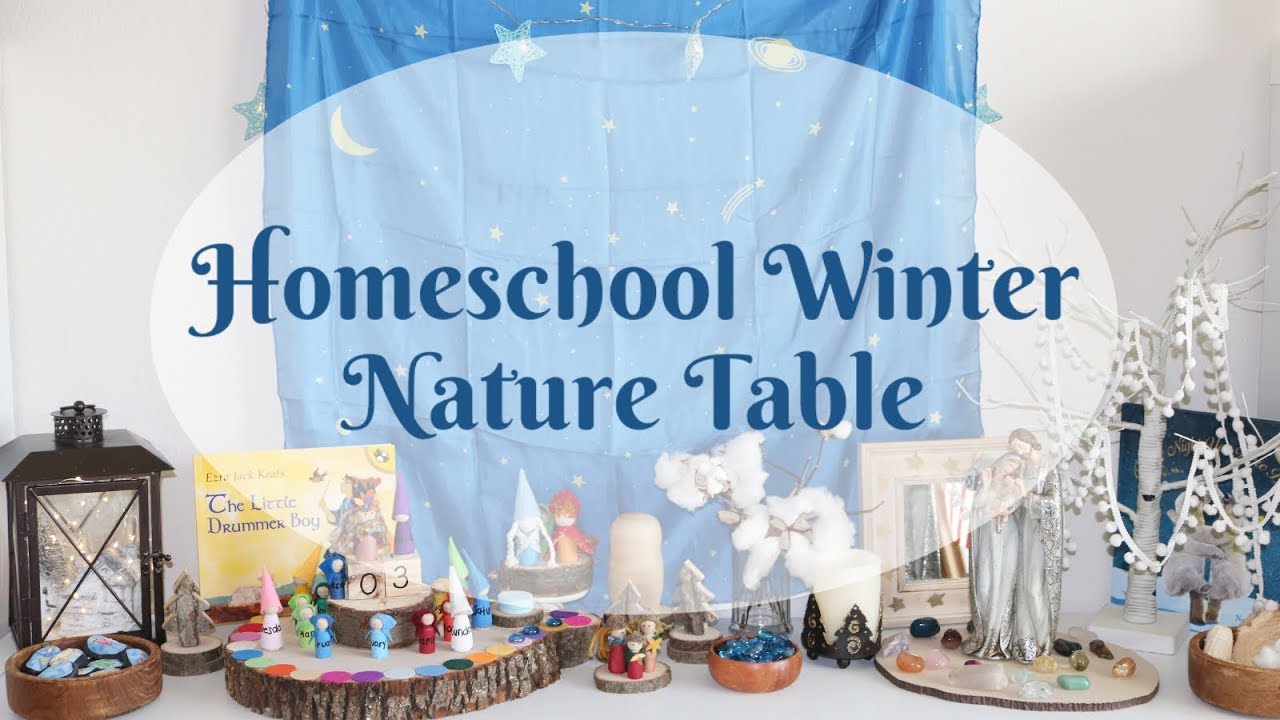Homeschool Winter Nature Table