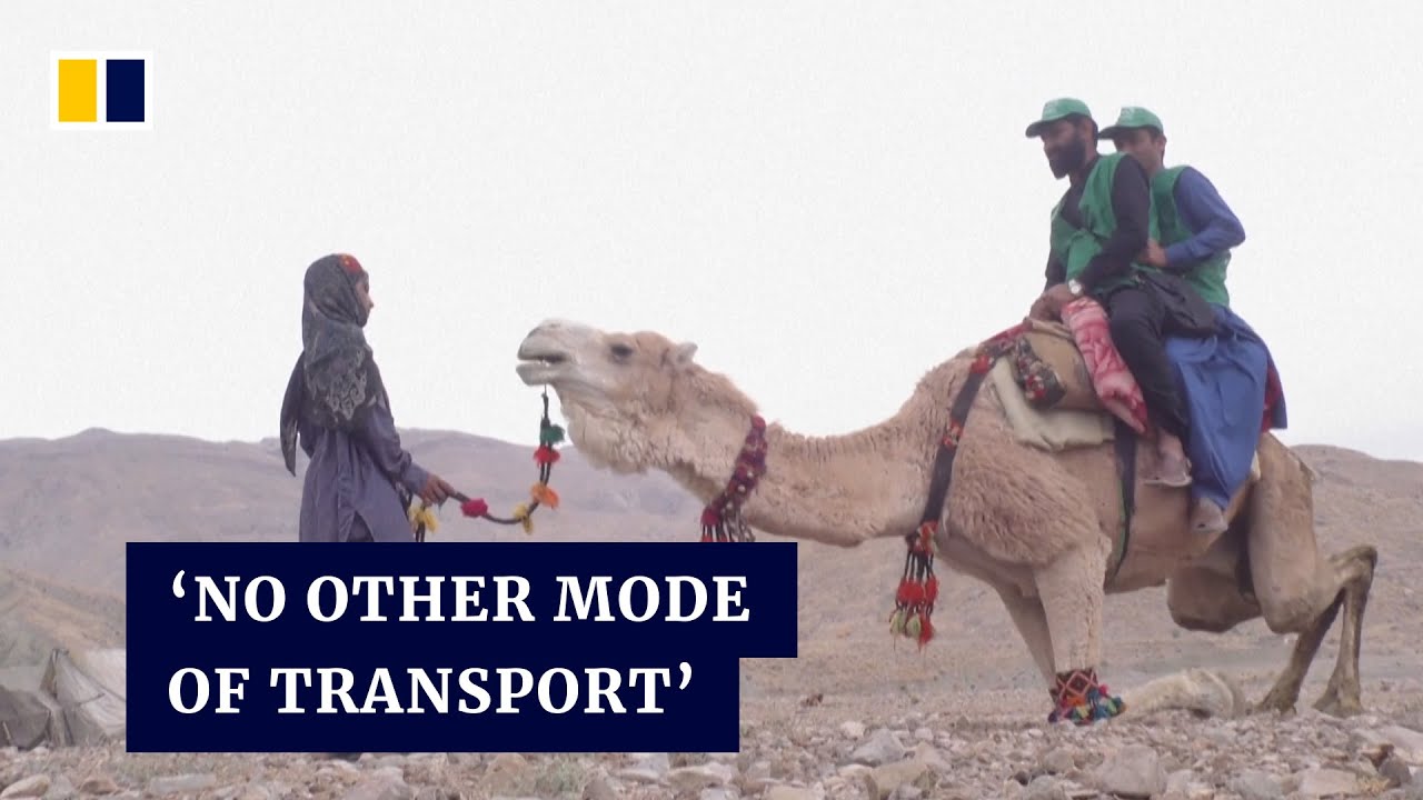 Census workers travel by camel to reach far-flung areas of Pakistan