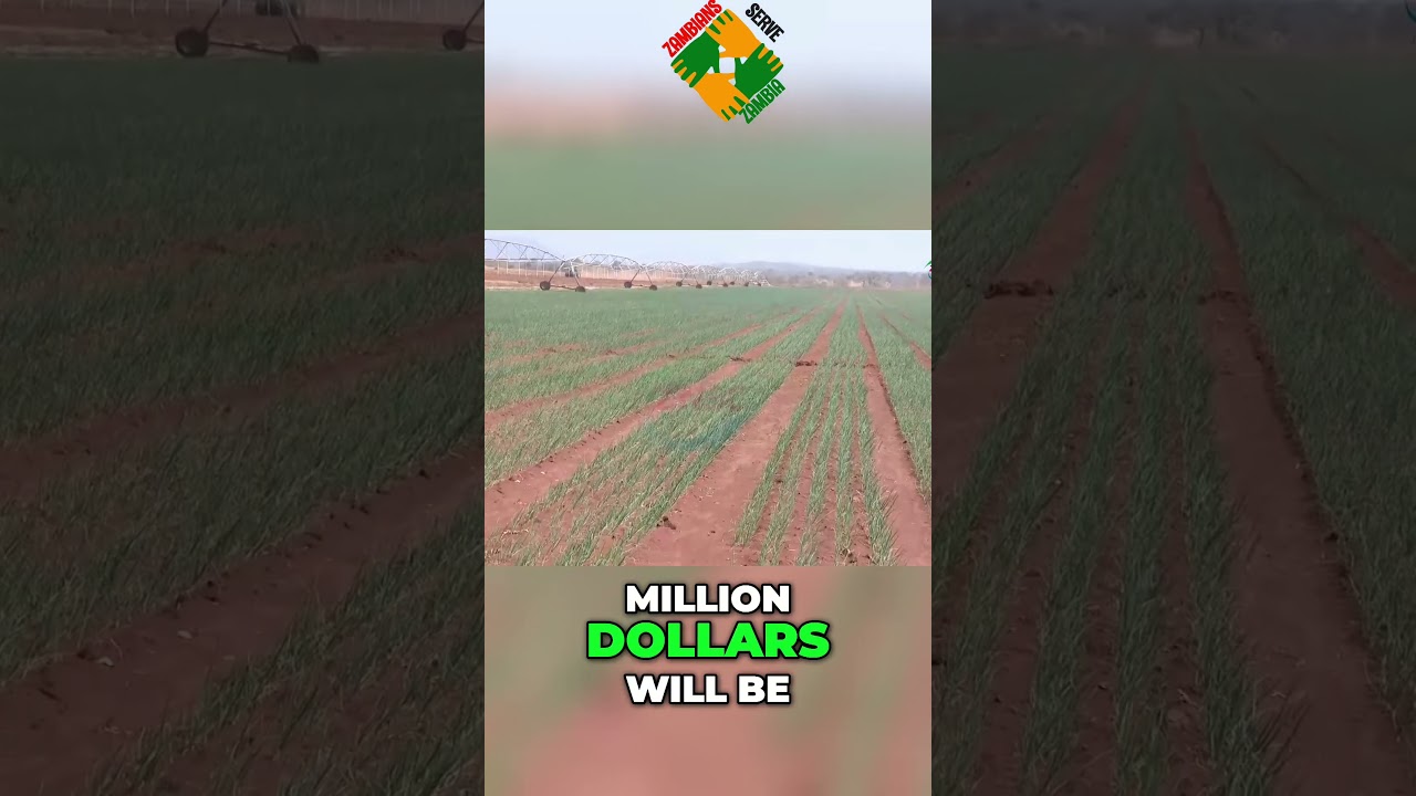 Investing in Zambia's Agricultural Development  A Game Changer for Economic Growth