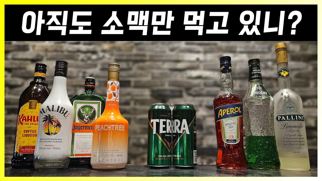 맥주에 타면 가장 맛있는 술