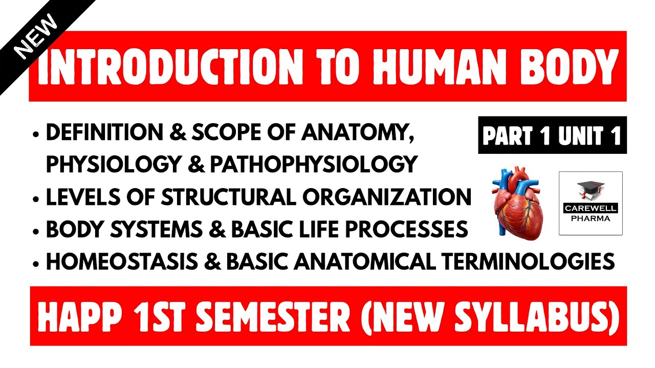 Introduction to Human Body | Part 1 Unit 1 | Human Anatomy Physiology and Pathophysiology 1st Sem