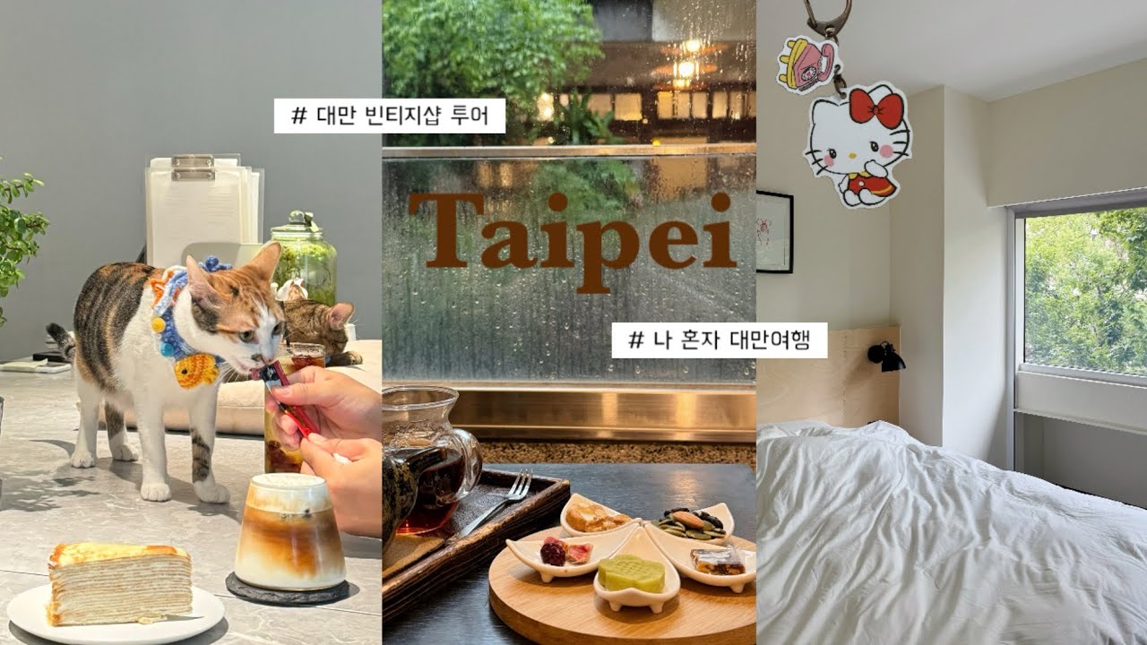 #대만여행 혼자 떠난 대만 힐링여행 3박 4일 ฅ ☔️ 브이로그 (대만 빈티지샵, 현지 디저트 맛집, 딘타이펑, 싱푸당, 호호미소보루, 지아펀 우유훠궈 🇹🇼)