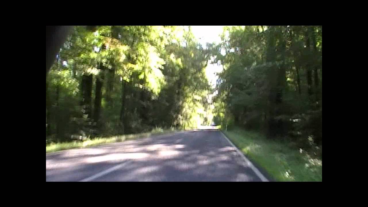 Movie 28.08.2011 Rad - Leinawald II