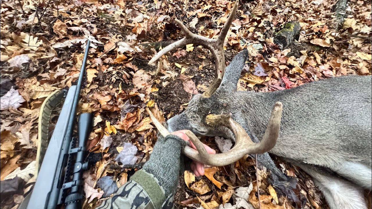 Virginia Public Land Whitetails at 3100ft 