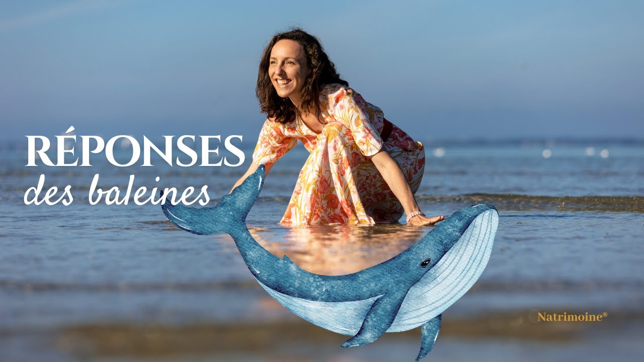 Communication animale | Les baleines répondent aux questions 🐋