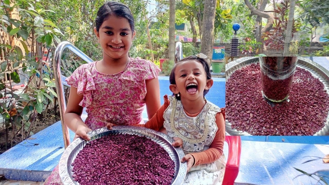চুল, ত্বক আর রোগ প্রতিরোধের বস মশলা আমলকি তৈরির সহজ উপায় । সারা বছর শুকিয়ে রেখে দিবেন যেভাবে।
