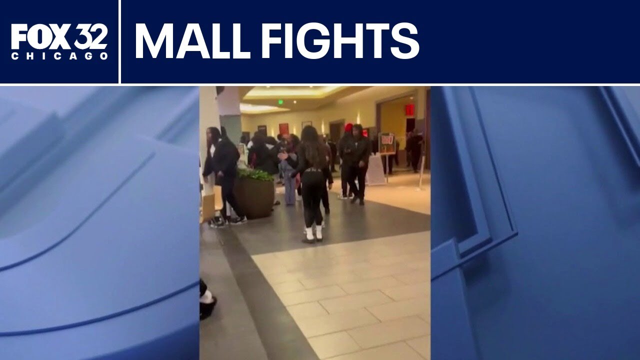 Fights at Joliet mall end in pair of arrests