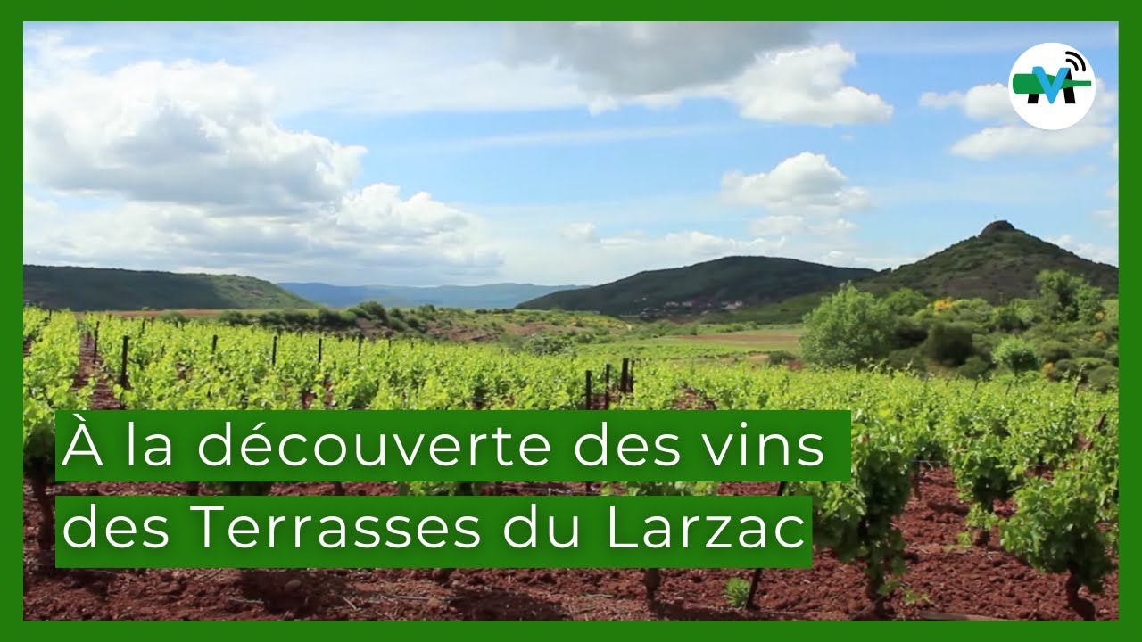 À la découverte des Terrasses du Larzac