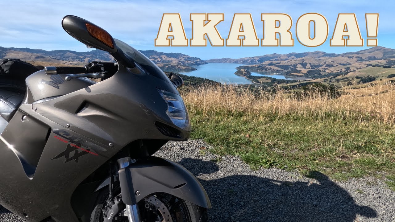 I took the blackbird to Akaroa!
