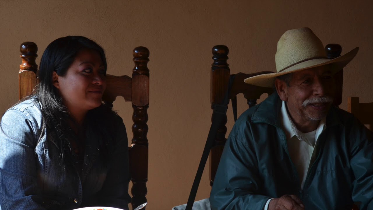 Proyecto RTS Cherán.