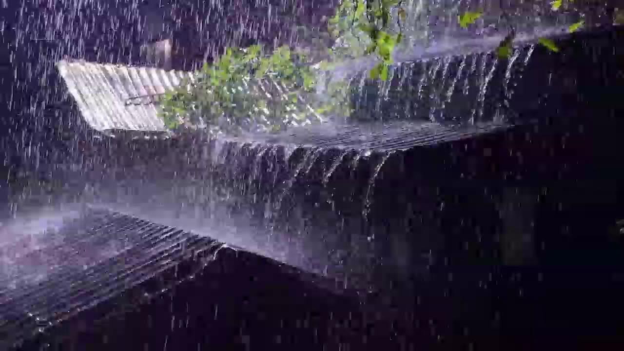 Soft Rain on Tin Roof | Insomnia Relief Rain Sounds – No Thunder