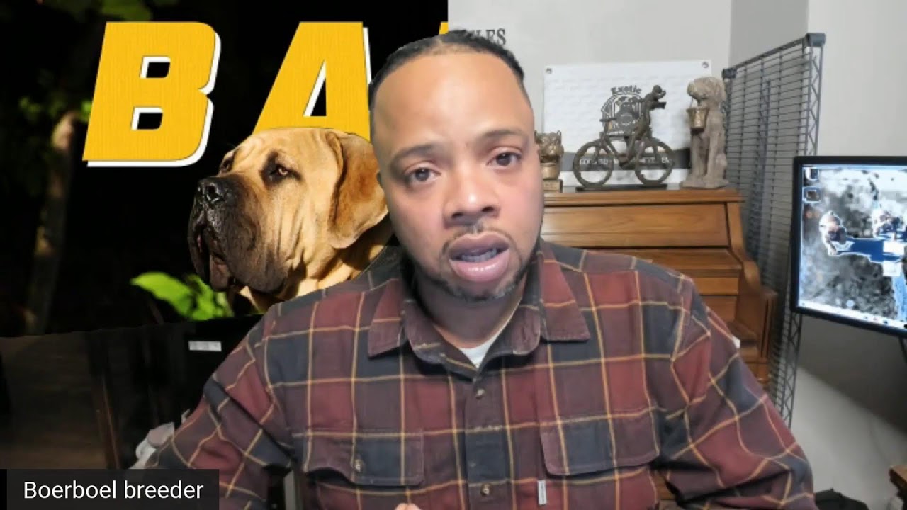 Boerboel Talk Episode 3 | Linebreeding Inbreeding CrossBreeding | Stud Dog Selection