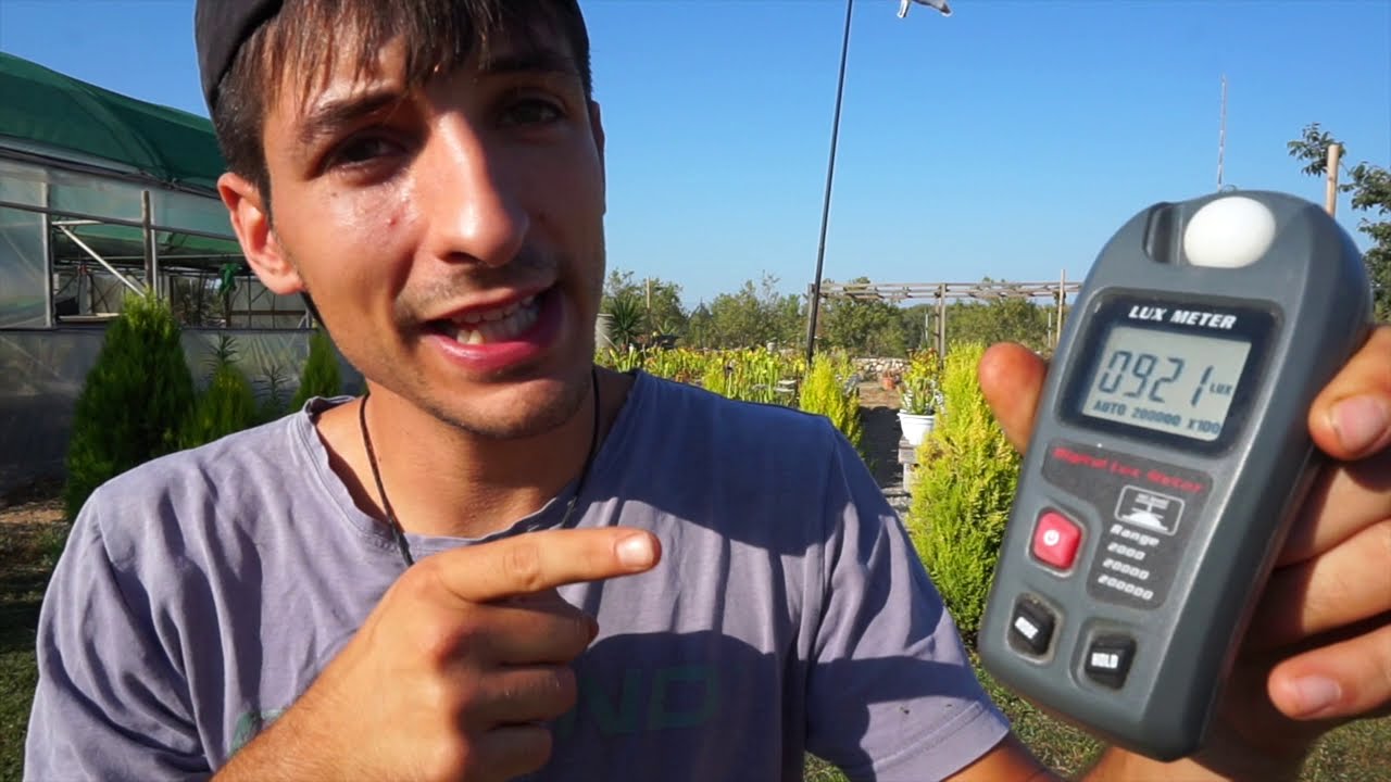 Iluminación CORRECTA para el CULTIVO de Dionaea