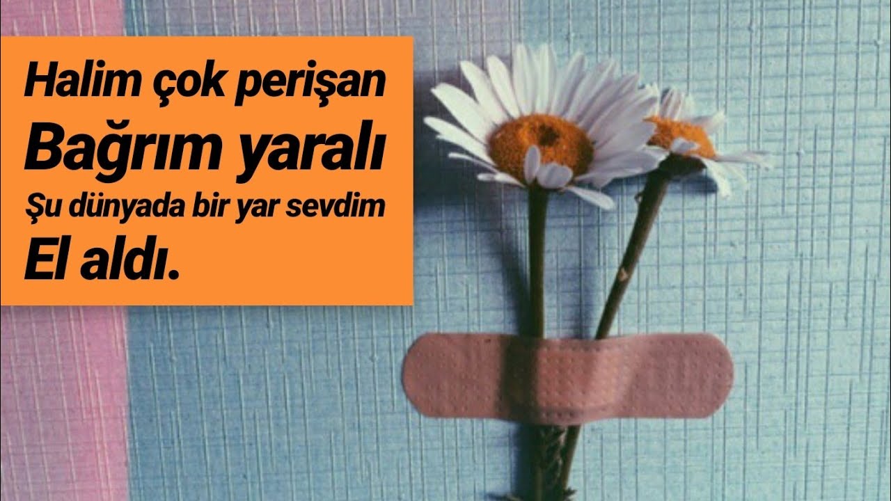 O yardan haber verin - HiraiZerdüş