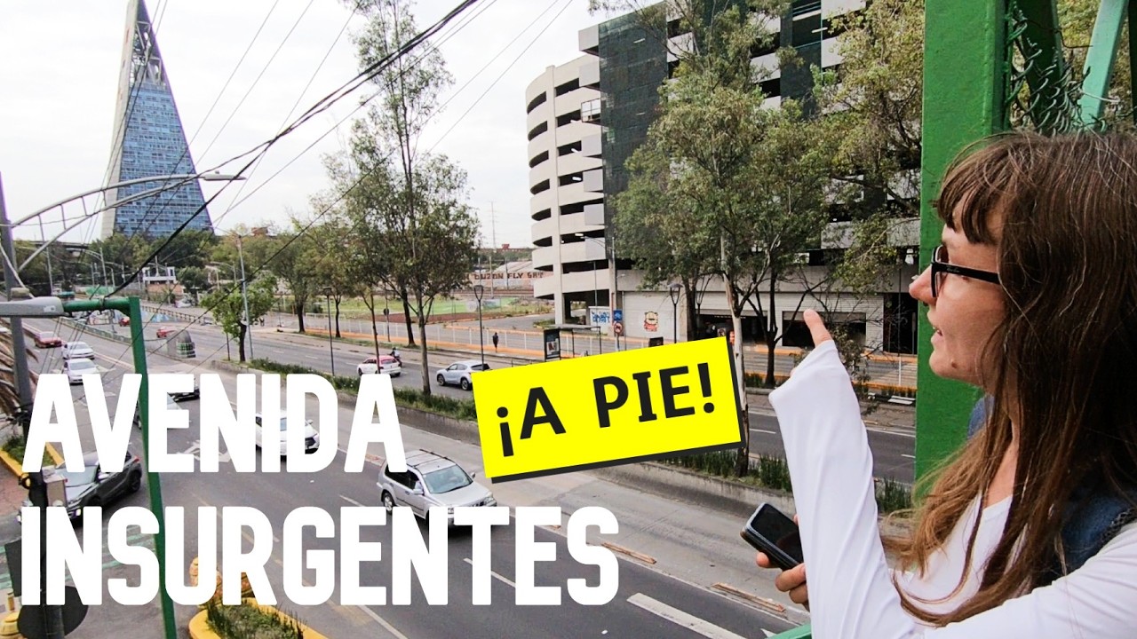 Reto Extremo: Caminé TODA Insurgentes [30 KM], la avenida MÁS LARGA de CDMX 😱