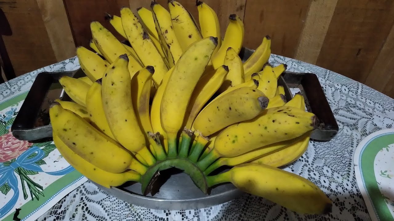 Quanto tempo leva para madurar o cacho de banana.