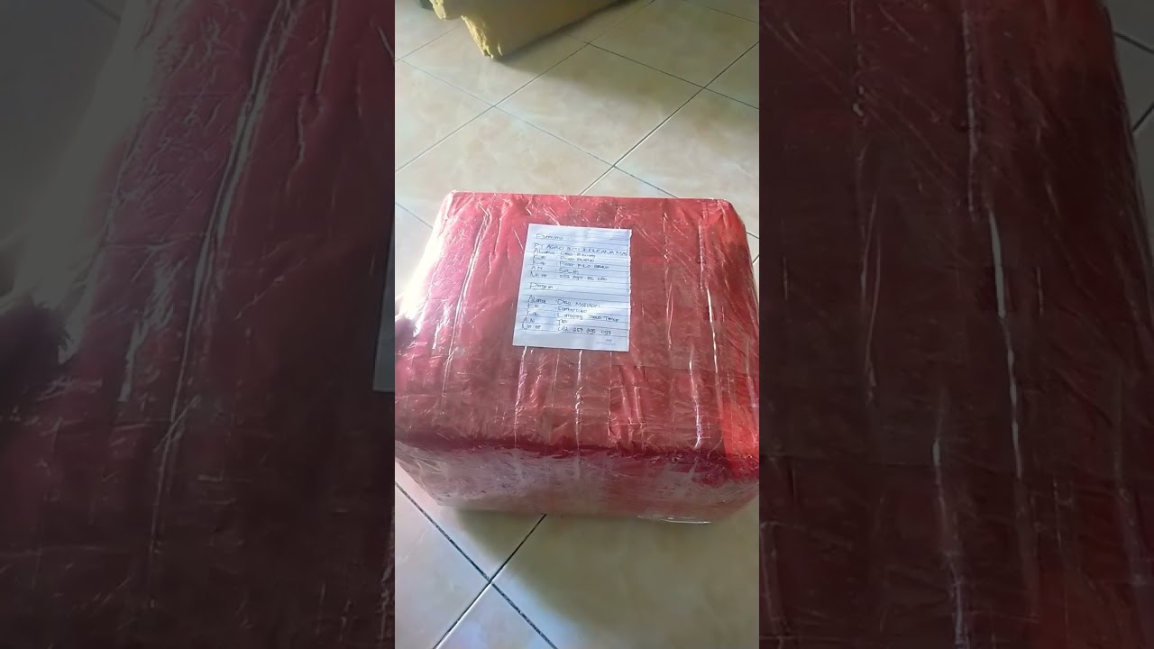 Cara mengirim paket nich#shorts