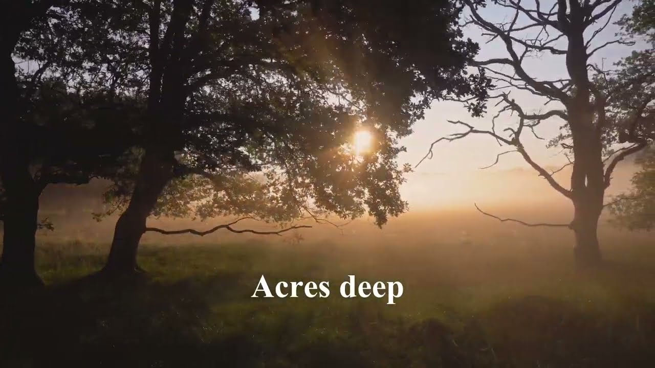 Acres Deep  -  Nature Lyric Video