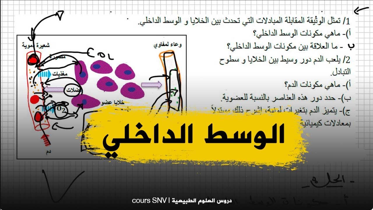 تمرين مقترح لشهادة التعليم المتوسط عن الوسط الداخلي للعلوم الطبيعية