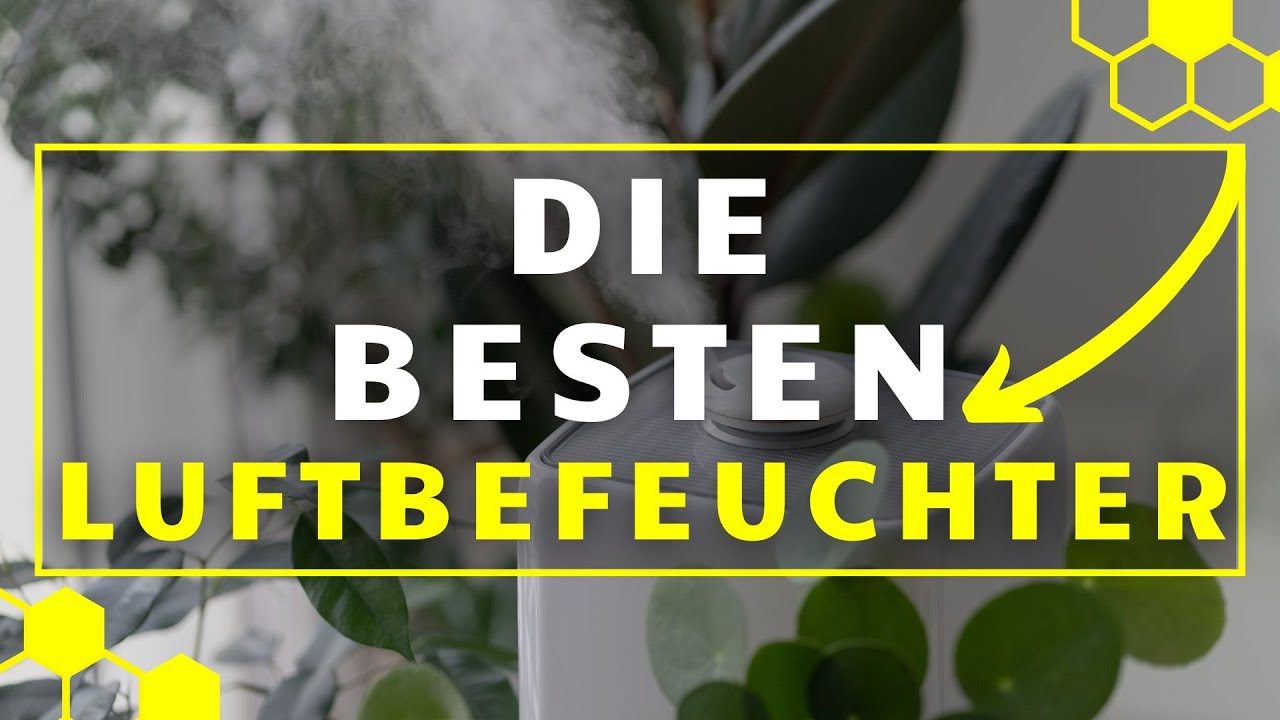 Luftbefeuchter TEST - Die 3 besten Luftbefeuchter im Vergleich!