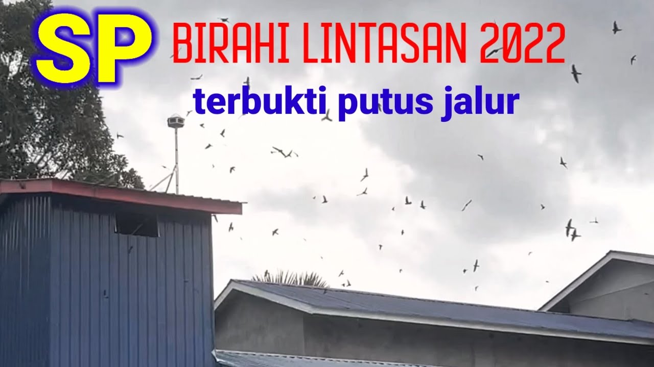 Sp Birahi Lintasan!!! 2022 pemutus jalur lintasan