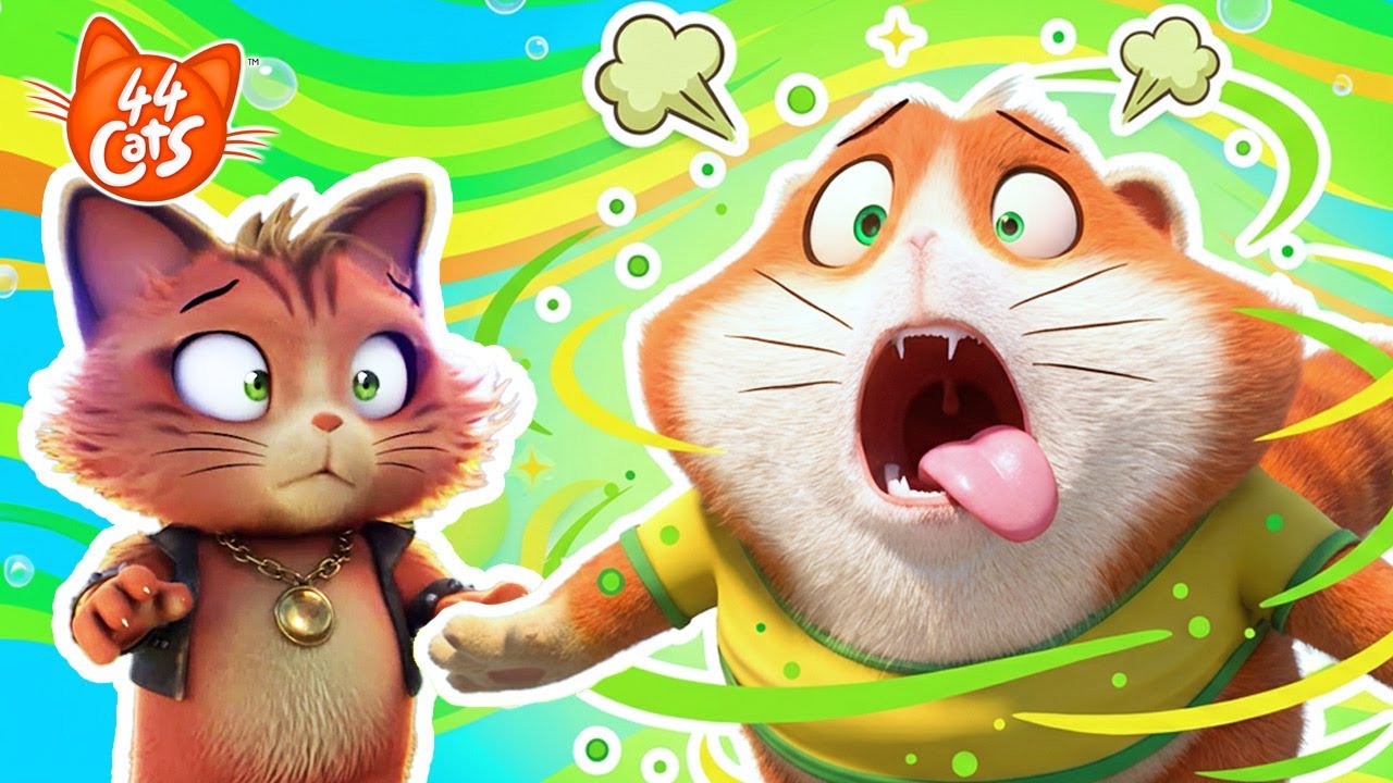 44 Kedi | 👃 NE KOKU! En komik ve en kokulu anlar!