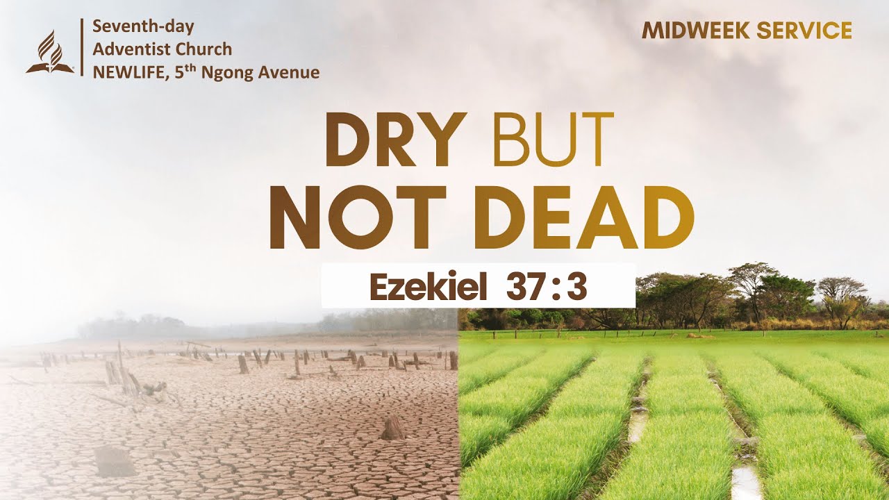 Midweek Service || Dry but Not Dead || Sis. Priscah Maringah || 28th January 2026
