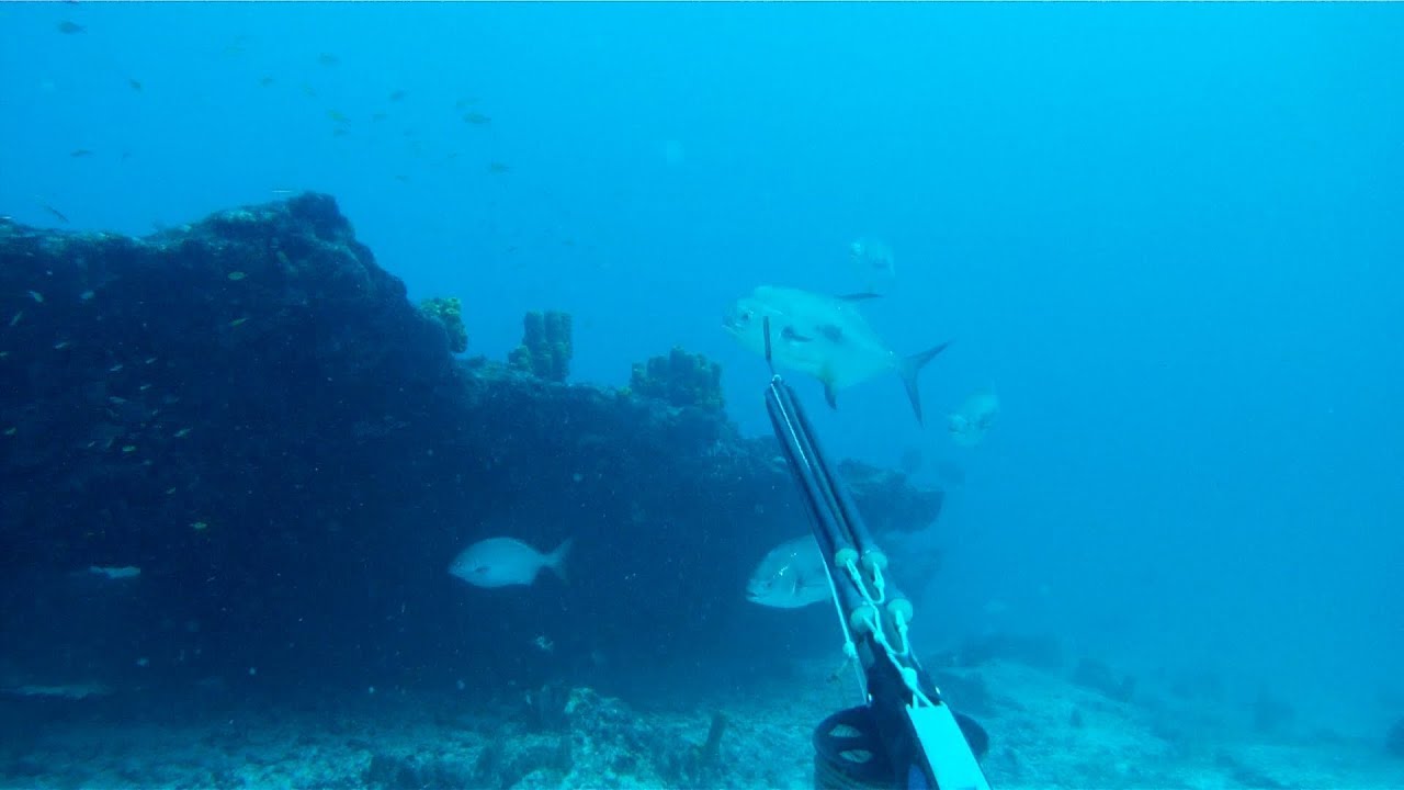 PESCA ESPORTIVA EM APNEIA XVI - NOVOS RUMOS