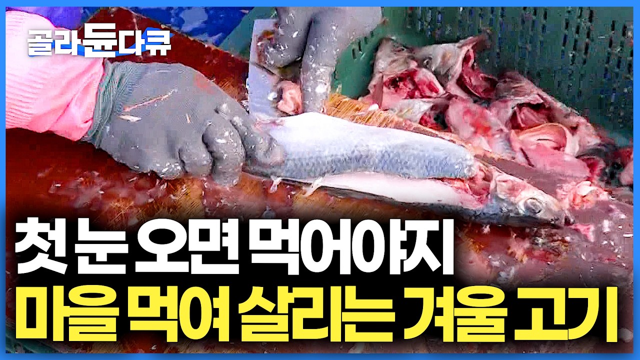 마을 전체가 이걸로 먹고 살아. 겨울이 오면 '이것' 먹어야지! 80%가 나오는 지역 가봤더니 ｜청어, 꽁치 과메기 만드는 과정｜극한직업｜#골라듄다큐