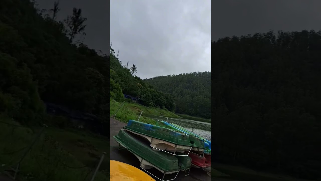 Munnar Explore #munnarvlogs#vlogs#munnar#clips#munnarvideos#kerala