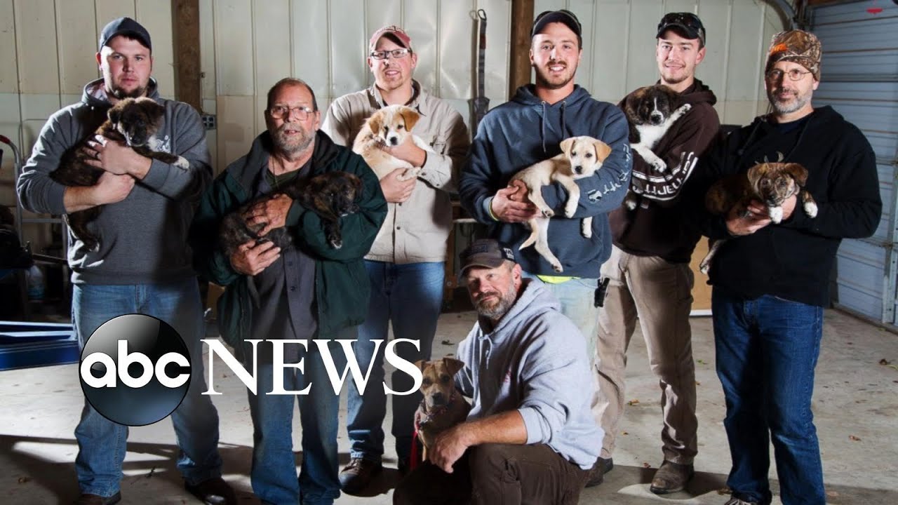 Group of Men Rescue 8 Stray Dogs on Bachelor Party Trip