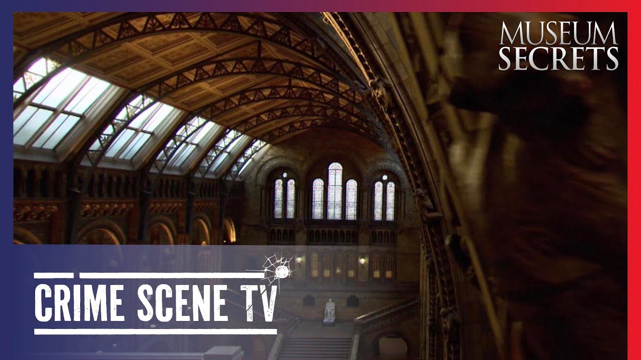 Внутри Музея естественной истории в Лондоне | Музейные секреты 2/22 | Crime Scene TV