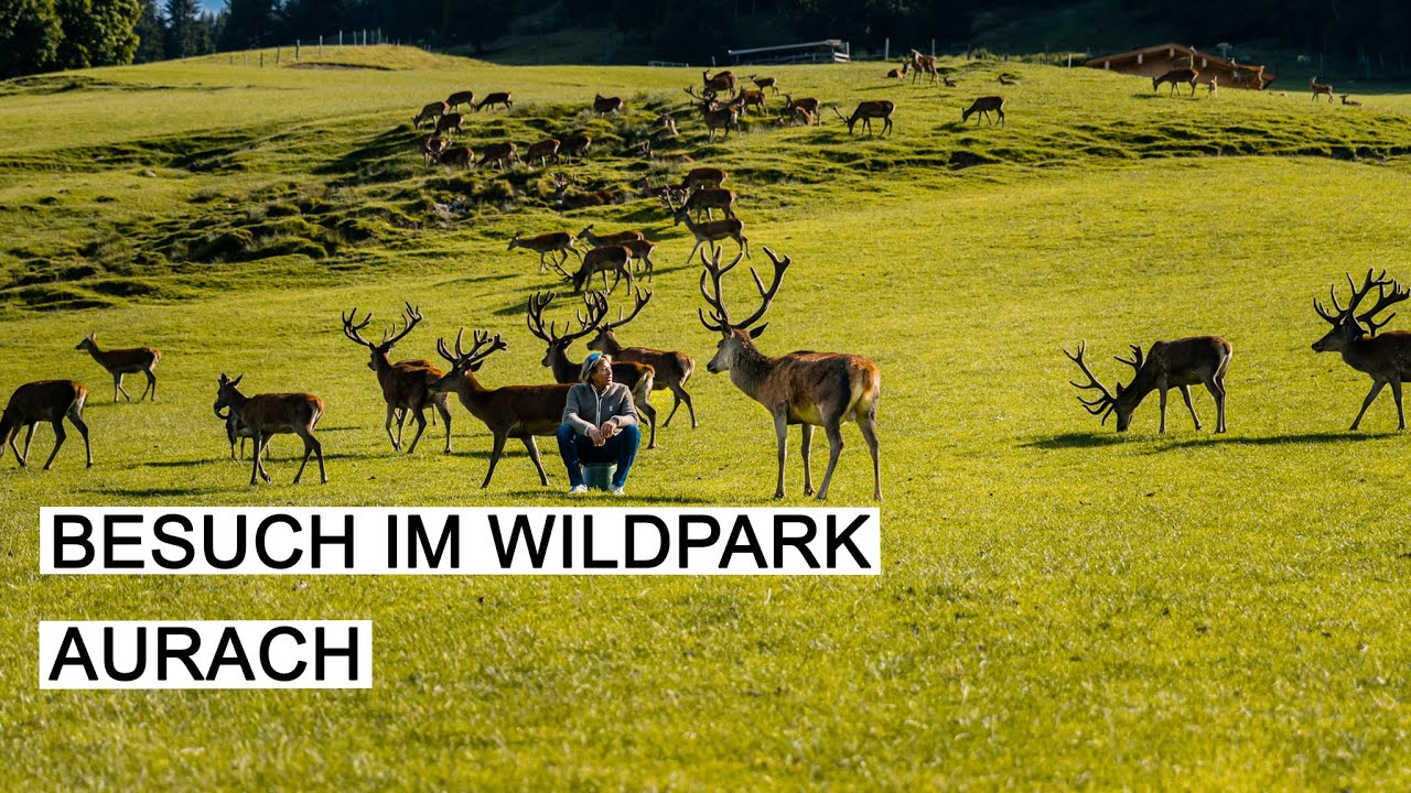HANSI HINTERSEER I Besuch im Wildpark Aurach
