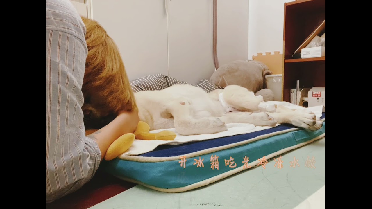 【到府安樂全程記錄】終於到了說再見的時候