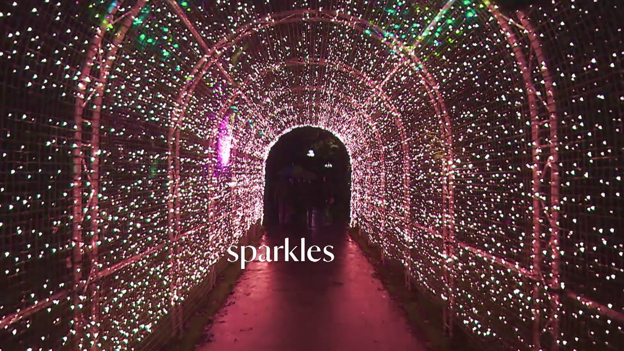 Christmas at Dunham Massey