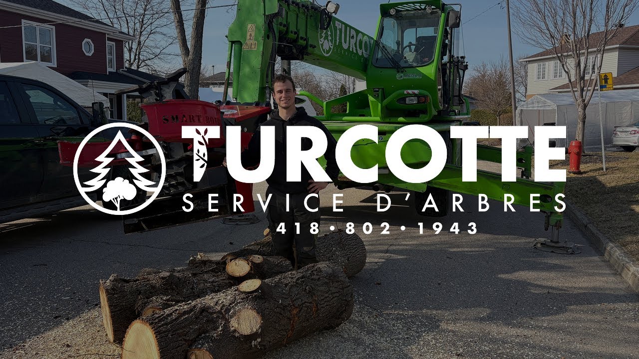 Abattage d'un arbre | Turcotte Service d'Arbres