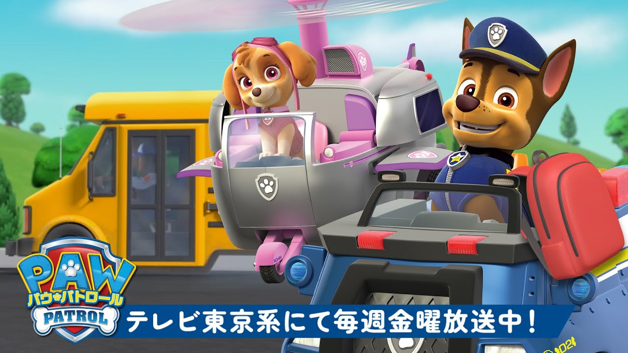 パウ・パトロール | パウ・パトロールの学校レスキュー！🚌🎒スカイとチェイスと一緒｜30分 | テレビ東京系にて放送中