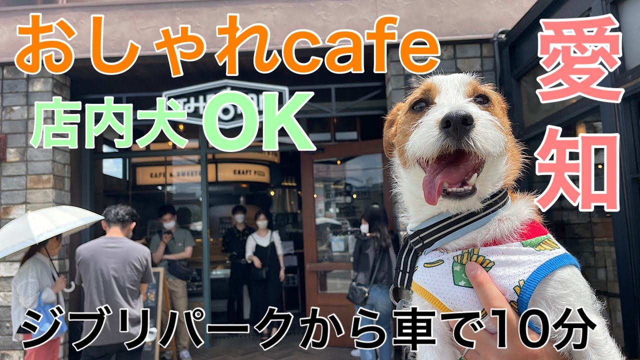 【the gram】店内犬OKのおしゃれカフェに行ってきた！！