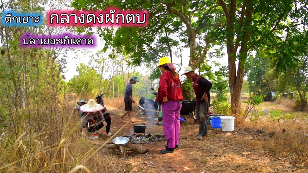 ตึกเยาะกลางดงผักตบ ทำกินริมห้วย ผักตบอย่างหนา แต่ปลาเยาะเกินคาด ทำข้าวริมห้วย