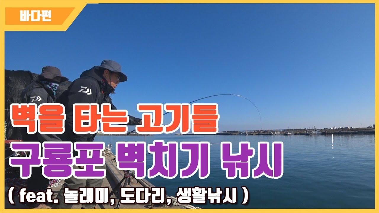 [다리tv] 벽을 타고 다니는 고기를 잡자!!! 짬낚최고 벽치기 낚시!!!  ☆ 구룡포 냉동창고 포인트 ☆