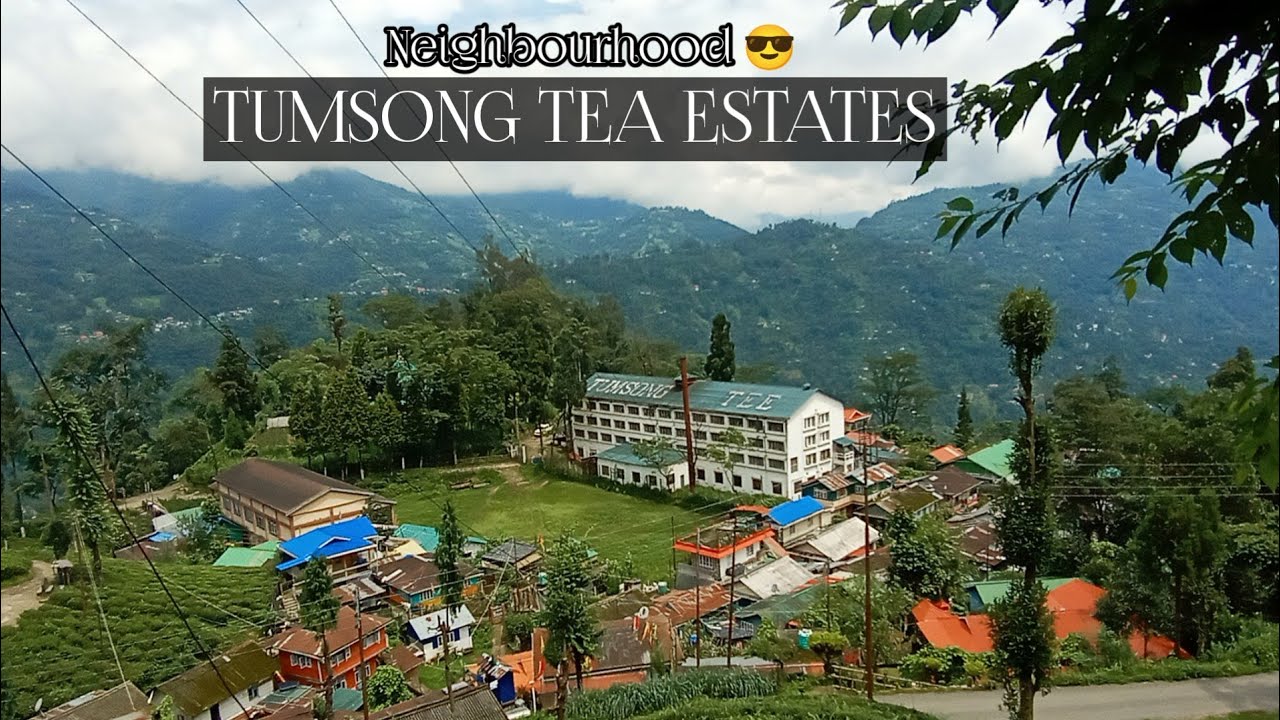 TEA FACTORY TUMSONG | Village Tumsong DARJEELING 😍| Village Vlog #USVLOG