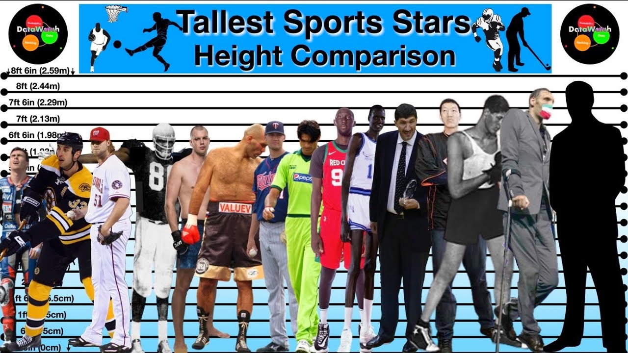 Height Comparison | Tallest Stars in Different Sports