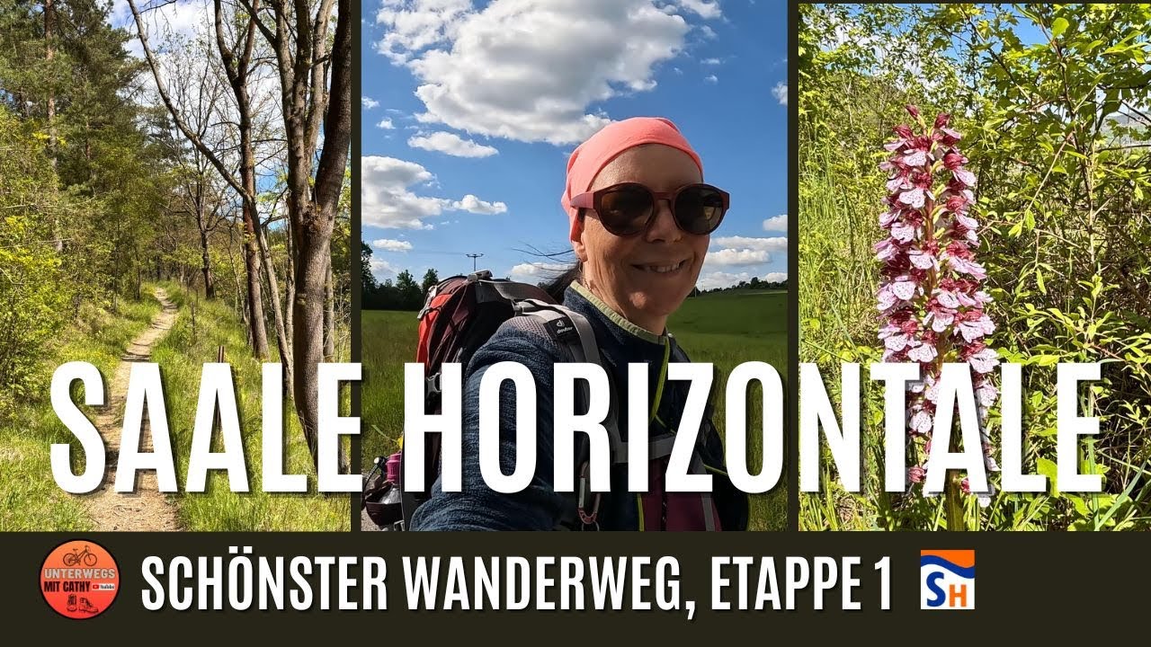 🥾Auftakt mit Wald und wilden Orchideen, Premium Wanderweg Saalehorizontale, Etappe 1