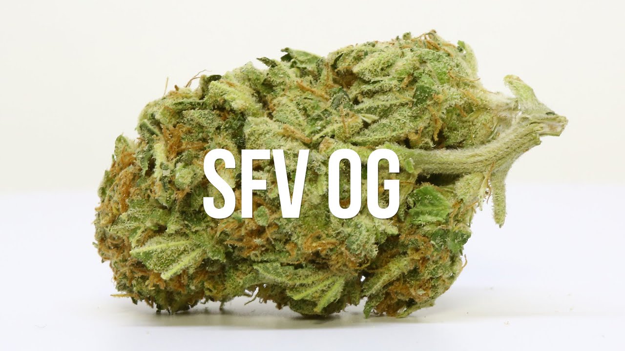 SFV OG strain review - International Highlife