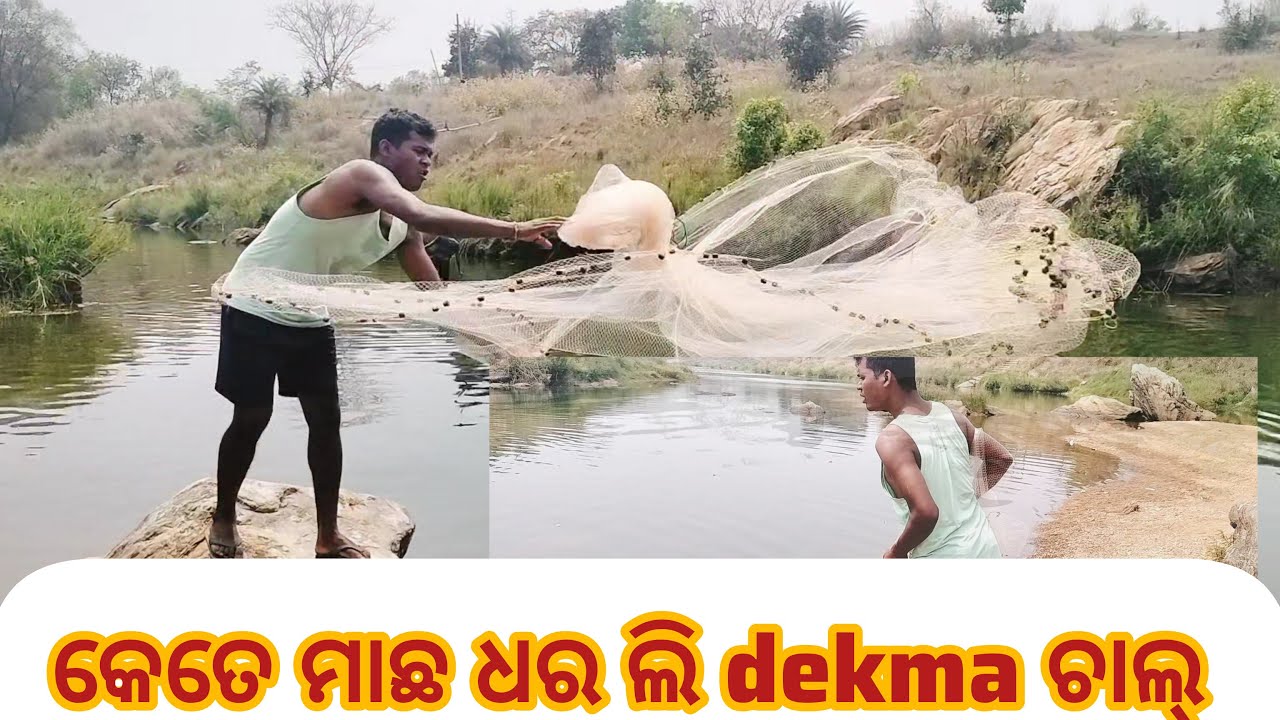ମାଛ ଧର ମା ଚାଲ୍ ||netfishing||how to throw net||#viralvideo fish catching||#Sambalpuriababu #food