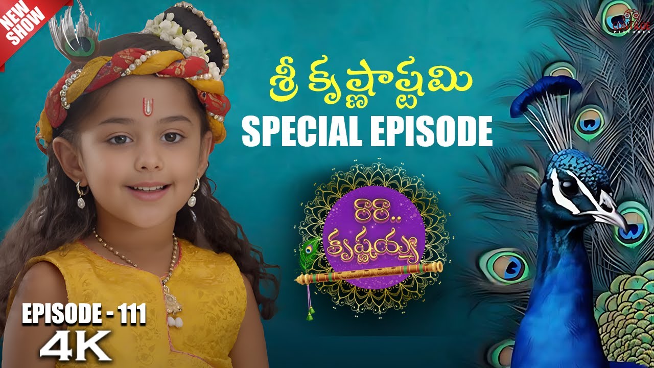 Ra Ra Krishnayya Episode No 111 | రారా...కృష్ణయ్య | Contiloe Studios Telugu | #Krishna #janmashtami