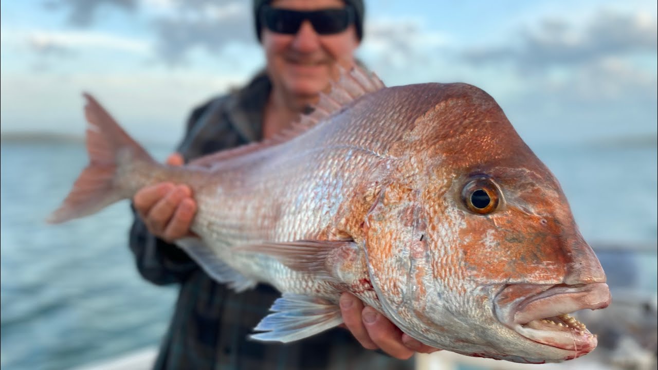 WESTERNPORT SNAPPER FEVER!! Awesome session on a windy afternoon