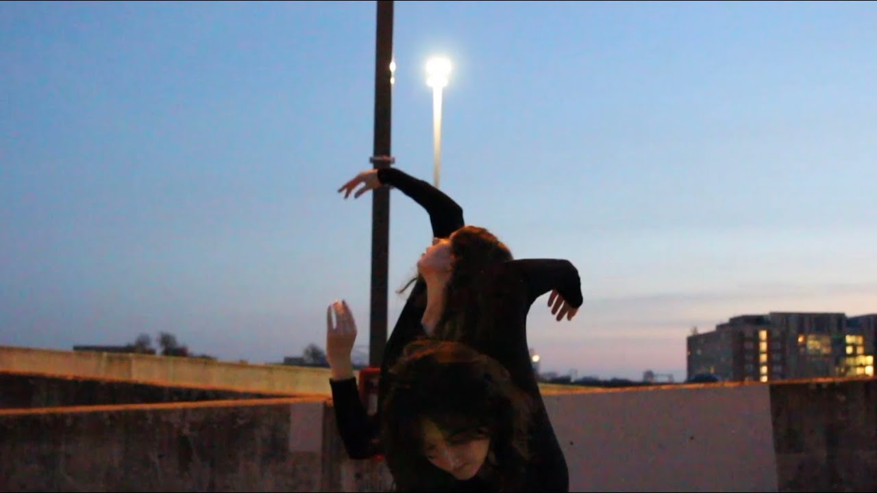 Shadow Self