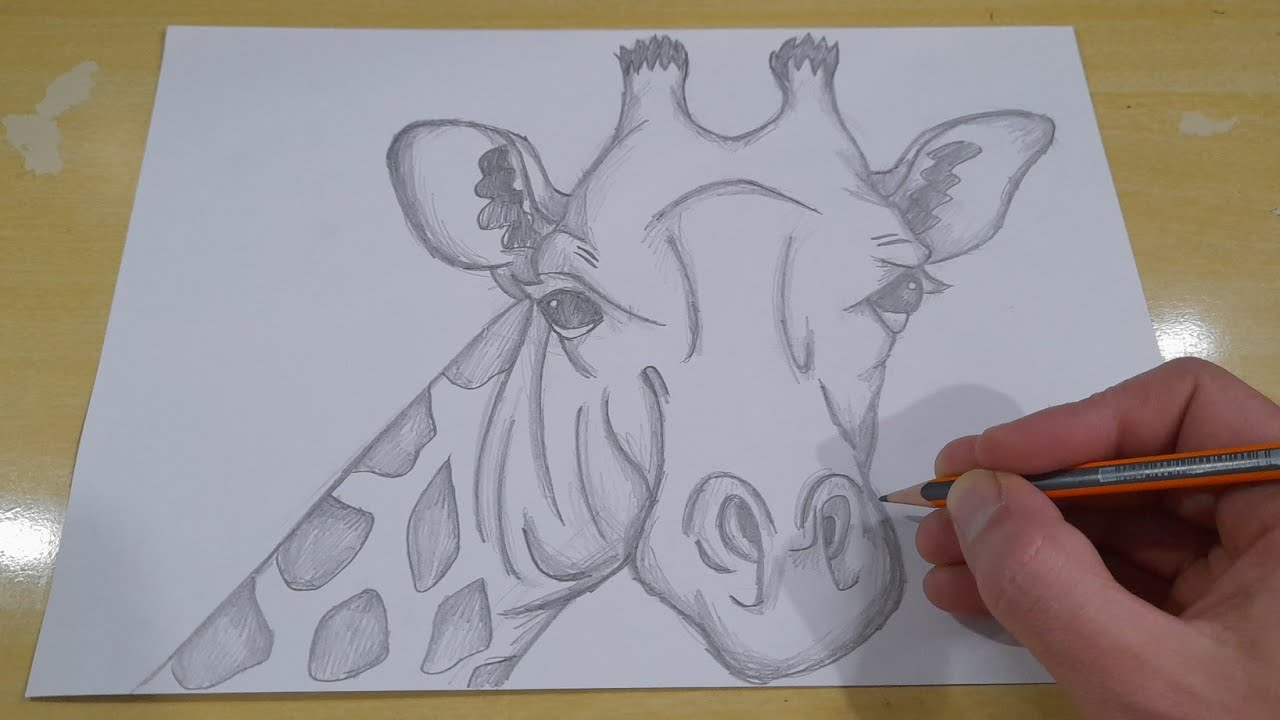 COMO DESENHAR UMA GIRAFA